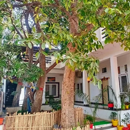 Green Hub Pushkar