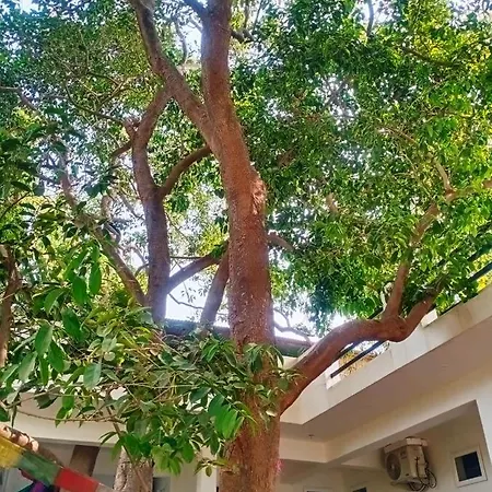 Villa Green Hub *