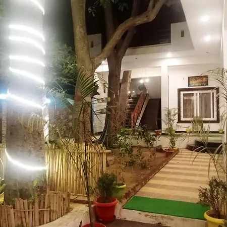 Green Hub Villa *