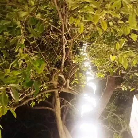 Green Hub